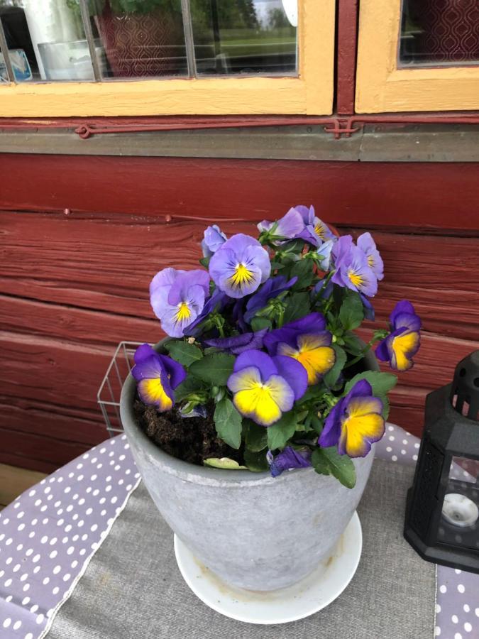 Mysigt Boende I Raettvik Med Utsikt Oever Siljan Luaran gambar